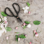 A FLORISTA ALÉRGICA AO PÓLEN